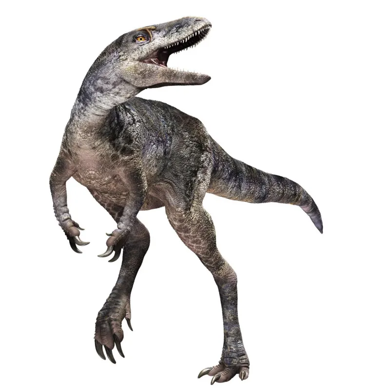 This finding New Dinosaur Species Discovered, Reshaping the T.rex Family Tree