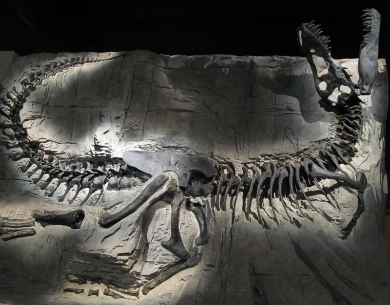 Skeleton of Masato Hattori